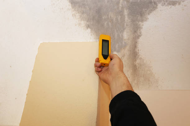 Best Mold Odor Removal Services  in Hawarden, IA