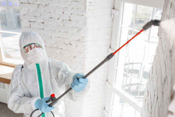 Best Mold Remediation for Healthcare Facilities  in Hawarden, IA