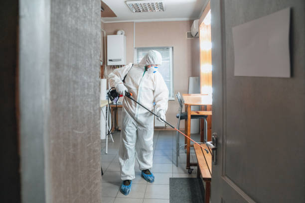 Best Biohazard Mold Removal  in Hawarden, IA