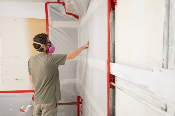 Best Crawl Space Mold Remediation  in Hawarden, IA