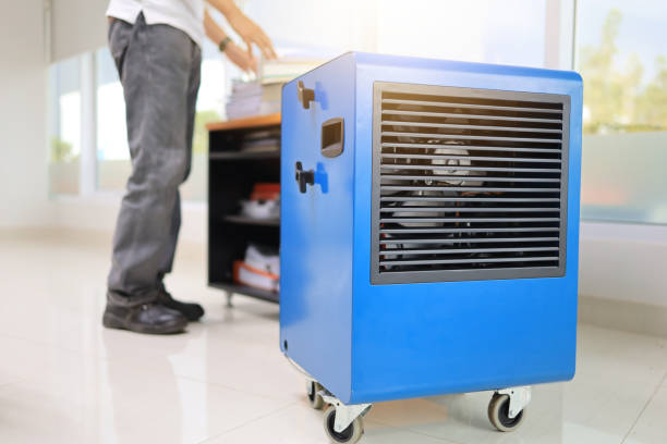 Hawarden, IA Mold Removal Company